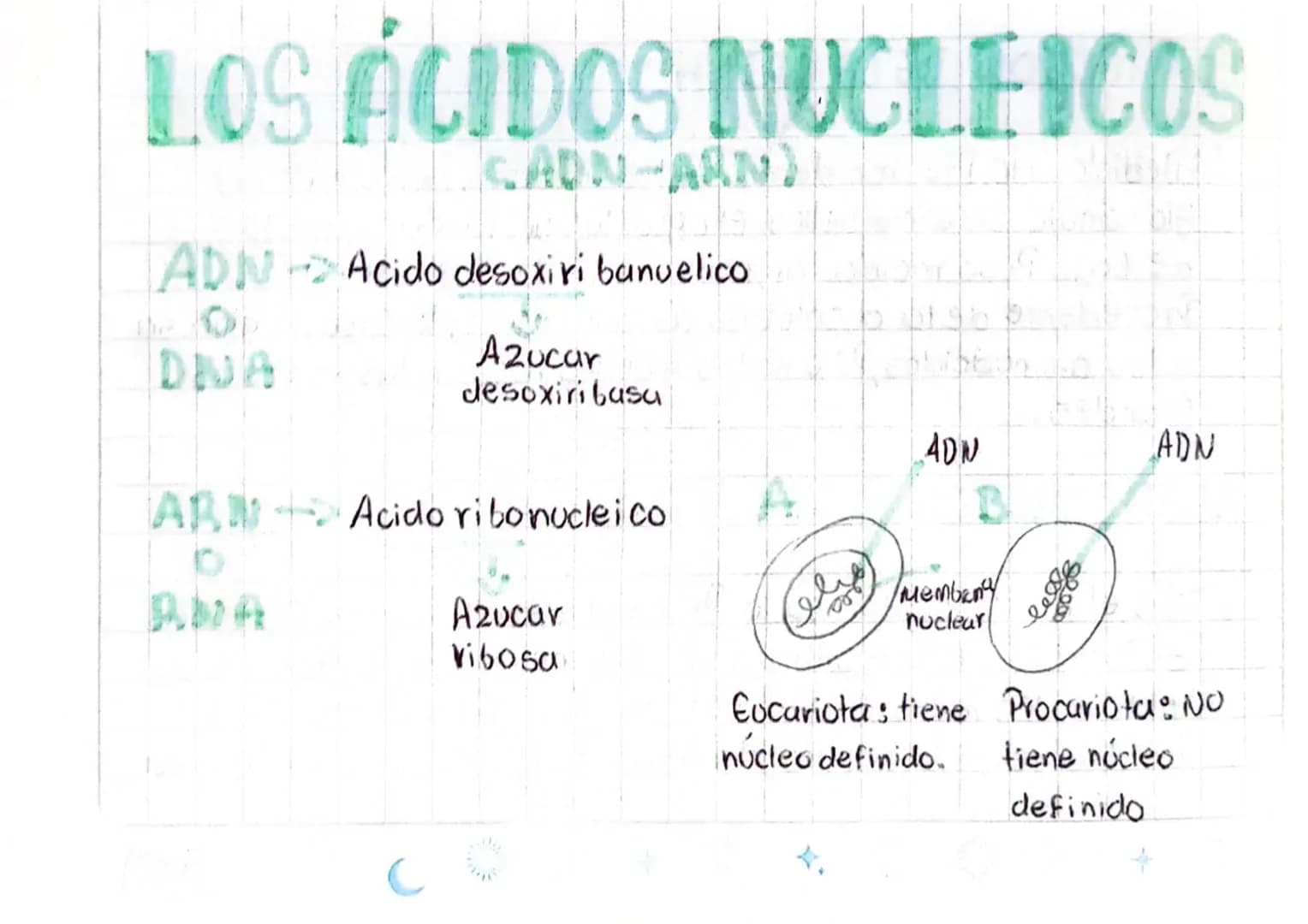 LOS ÁCIDOS NUCLEICOS
1
ADN Acido desoxiri banuelico
DWA
Azucar
desoxiribasa
AB Acido ribonucleico
D
ANA
ADN
ADN
Azucar
Vibosa
میلو
Memban
nu