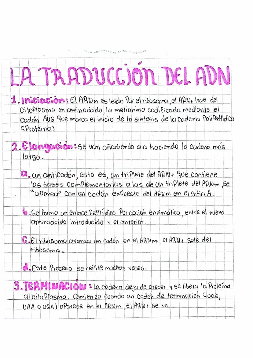 LOS ÁCIDOS NUCLEICOS
1
ADN Acido desoxiri banuelico
DWA
Azucar
desoxiribasa
AB Acido ribonucleico
D
ANA
ADN
ADN
Azucar
Vibosa
میلو
Memban
nu