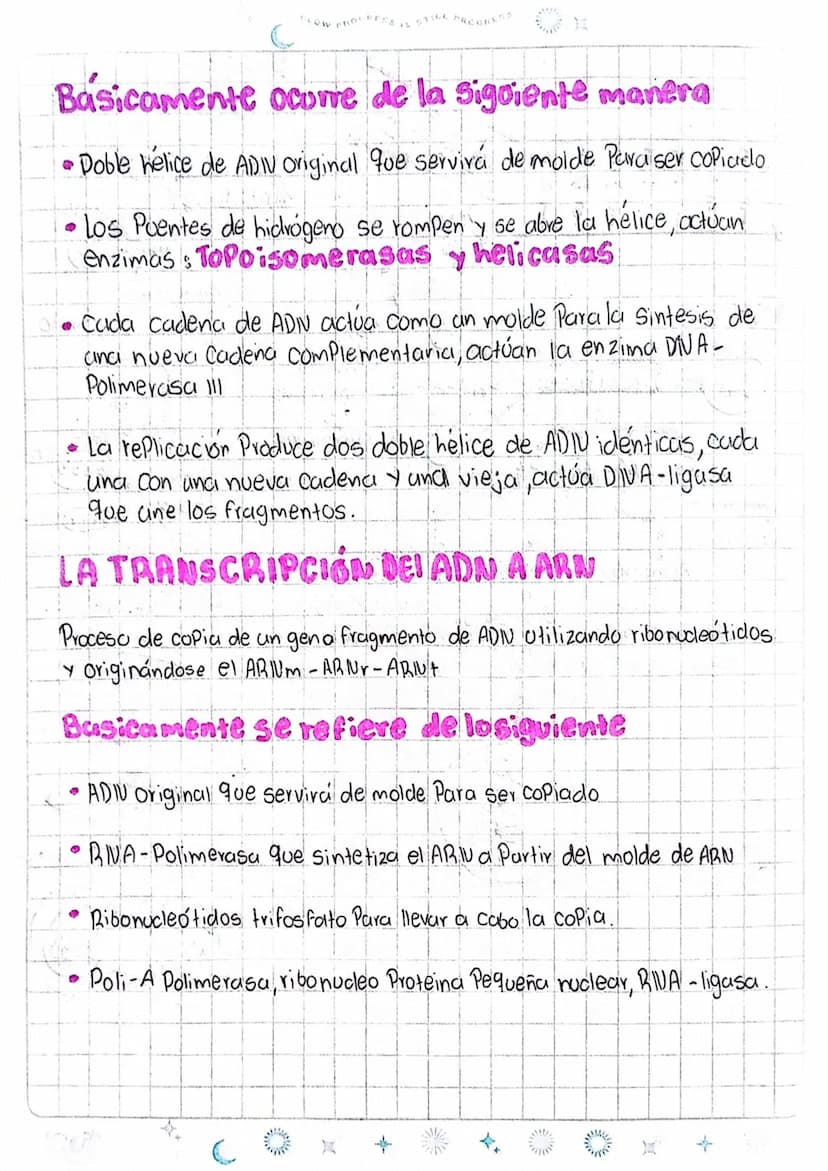 LOS ÁCIDOS NUCLEICOS
1
ADN Acido desoxiri banuelico
DWA
Azucar
desoxiribasa
AB Acido ribonucleico
D
ANA
ADN
ADN
Azucar
Vibosa
میلو
Memban
nu
