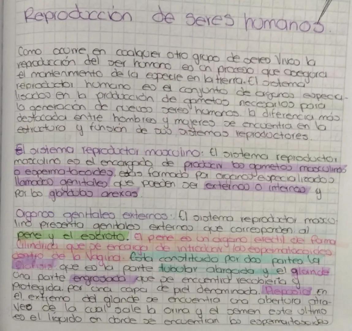 Reproducción de seres humanos
Como ocorre en coalquier otro
gropo
de
beled
Vivoo la
reproducción del ser homono es on proceso que coegora
el