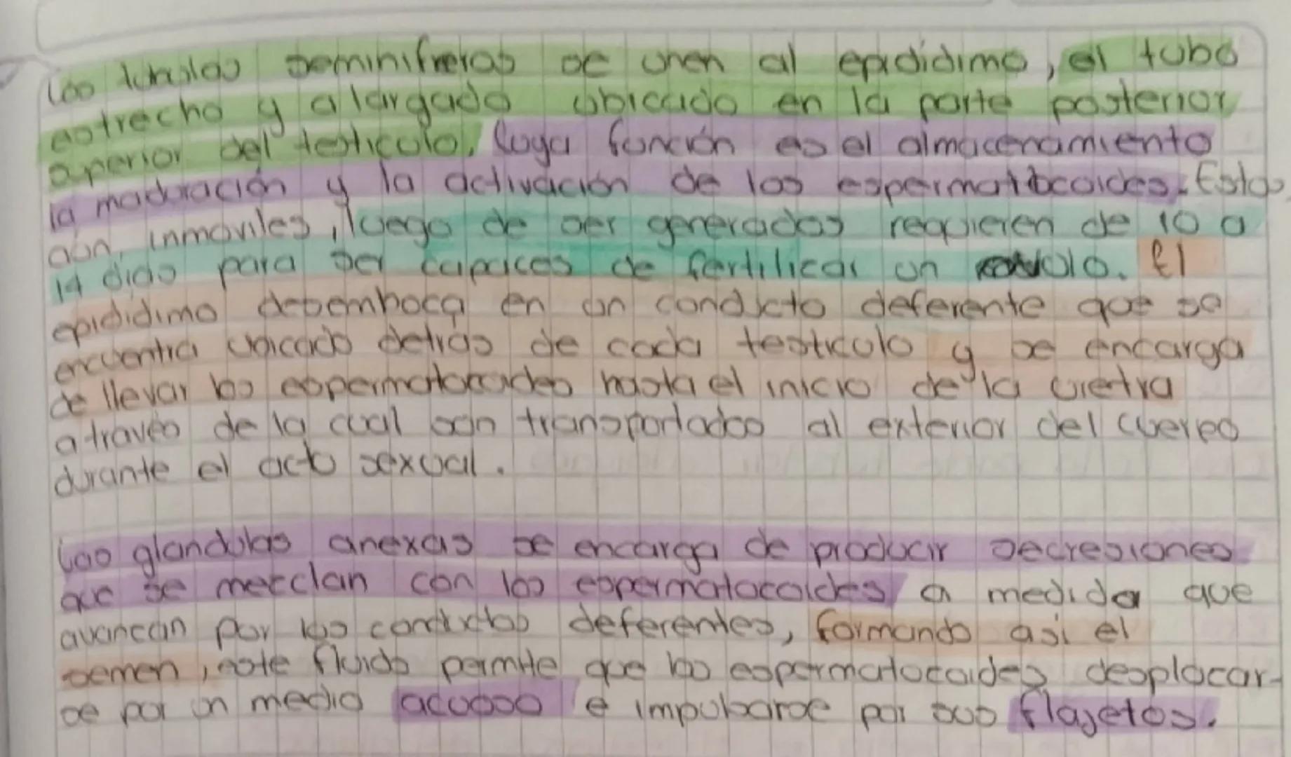 Reproducción de seres humanos
Como ocorre en coalquier otro
gropo
de
beled
Vivoo la
reproducción del ser homono es on proceso que coegora
el