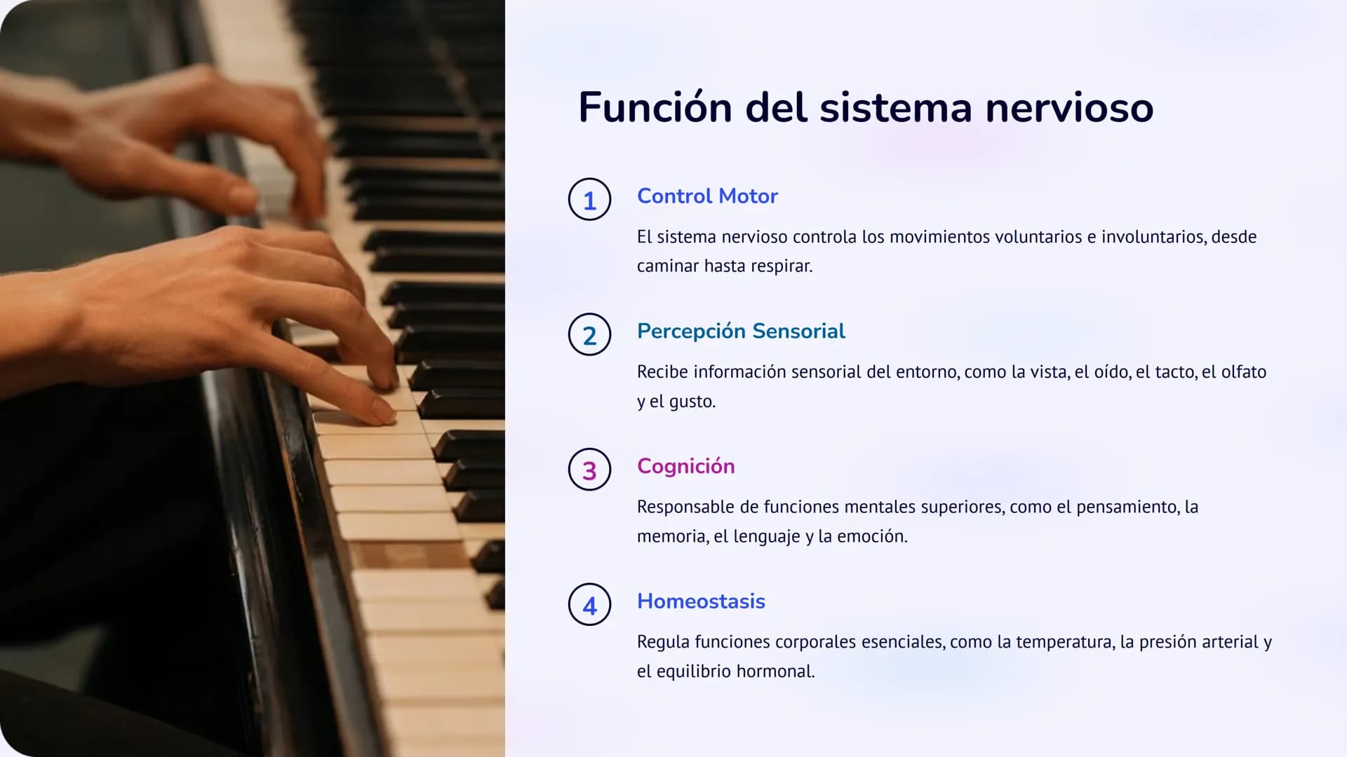 Co
N
Neurobiología:
Un viaje al interior del
sistema nervioso
La neurobiología es la ciencia que estudia el sistema nervioso, una
red comple