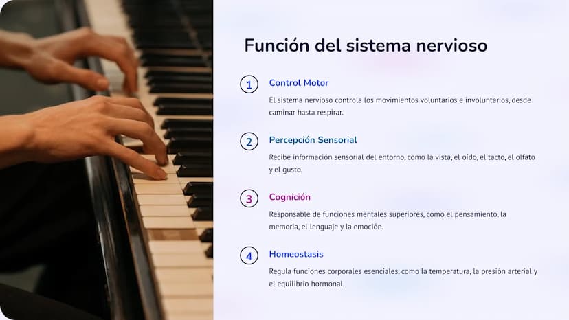 Co
N
Neurobiología:
Un viaje al interior del
sistema nervioso
La neurobiología es la ciencia que estudia el sistema nervioso, una
red comple