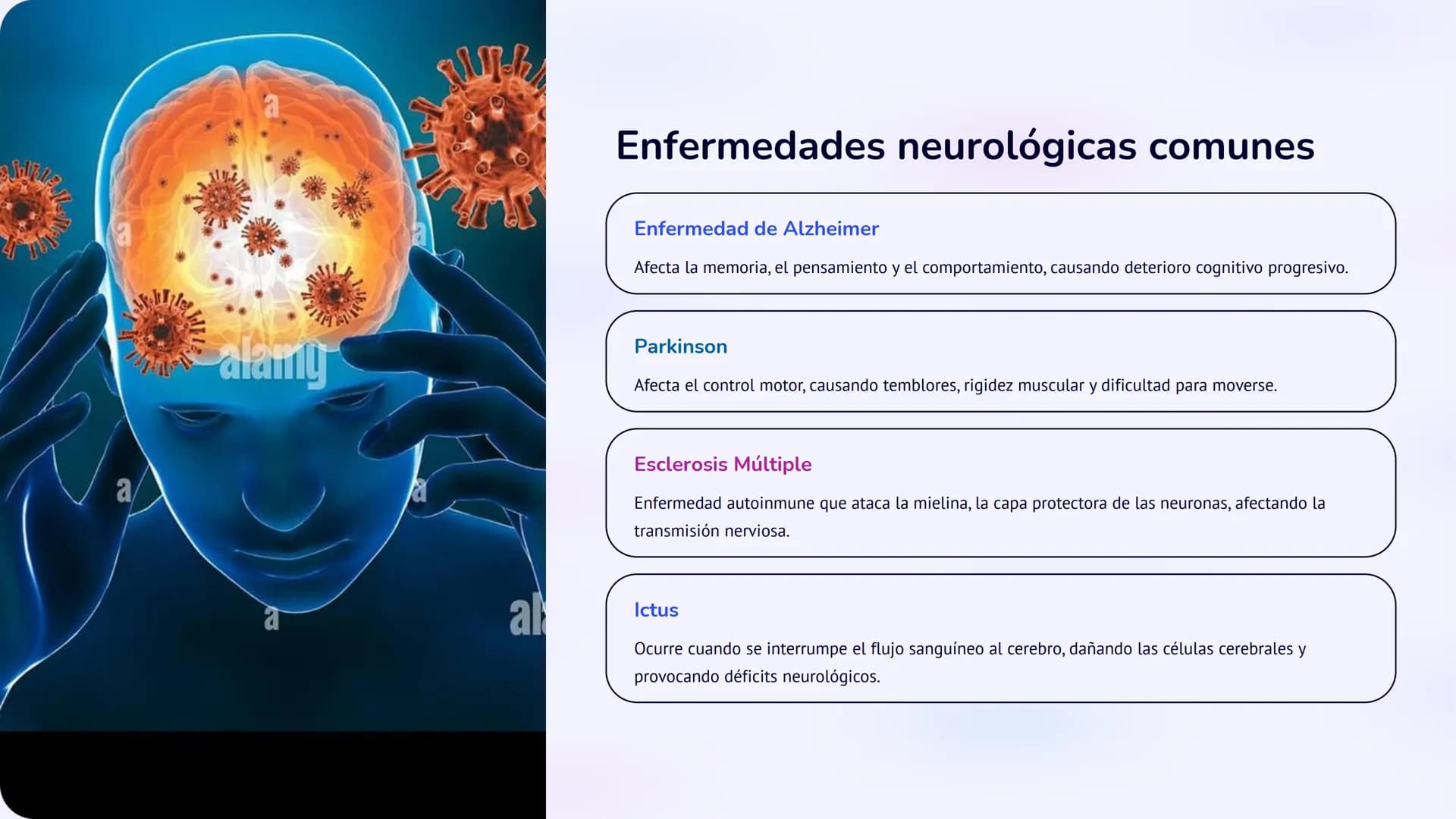 Co
N
Neurobiología:
Un viaje al interior del
sistema nervioso
La neurobiología es la ciencia que estudia el sistema nervioso, una
red comple