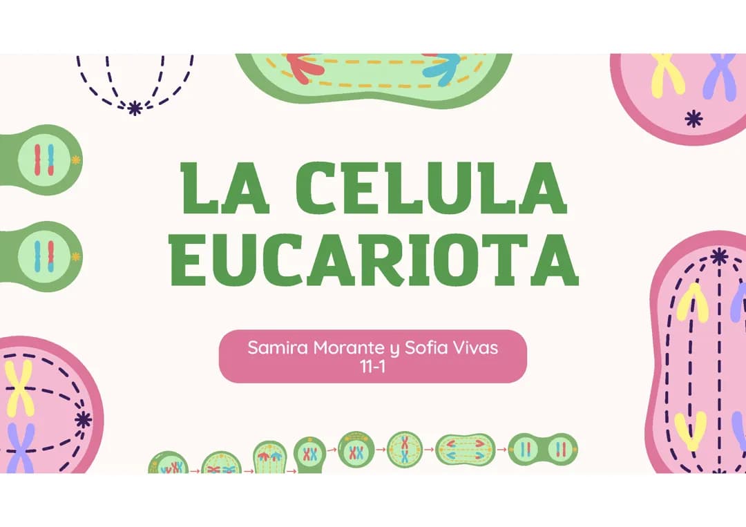 La célula eucariota 