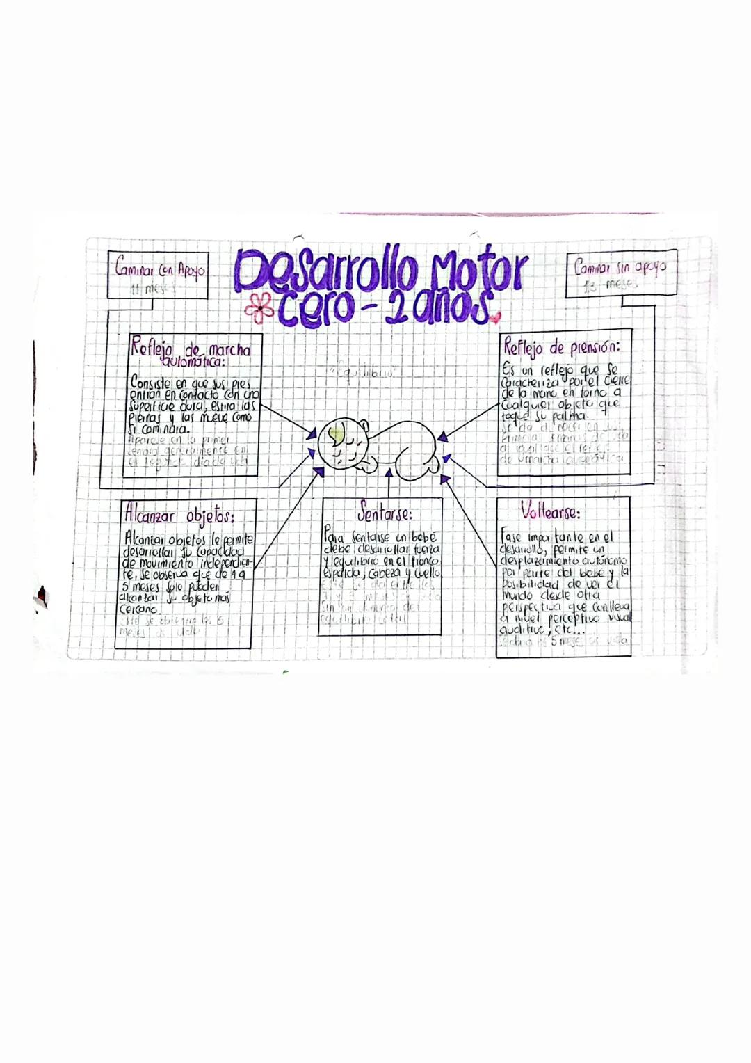 Desarrollo motor 0-2 años
