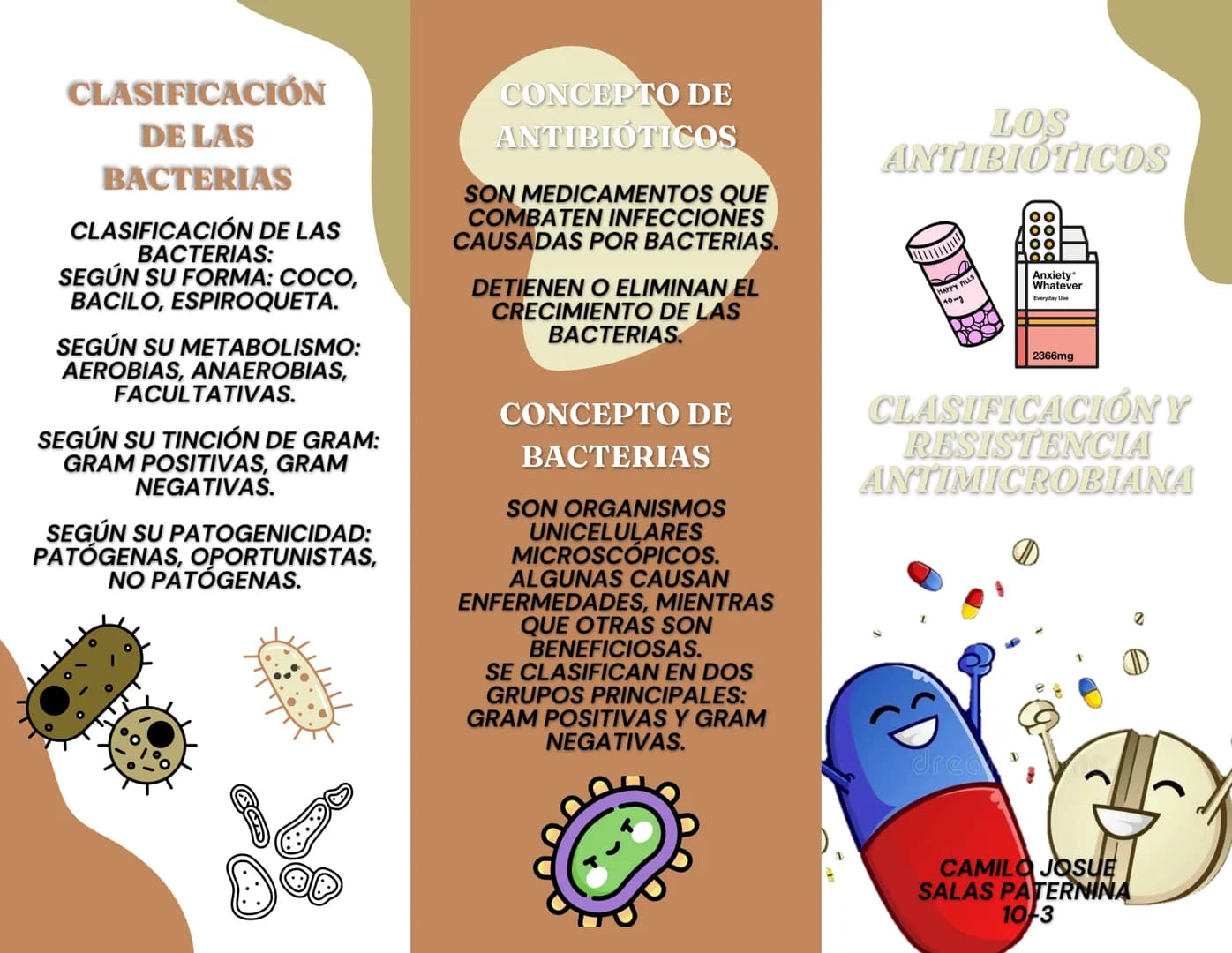 CLASIFICACIÓN
DE LAS
BACTERIAS
CLASIFICACIÓN DE LAS
BACTERIAS:
SEGÚN SU FORMA: COCO,
BACILO, ESPIROQUETA.
SEGÚN SU METABOLISMO:
AEROBIAS, AN