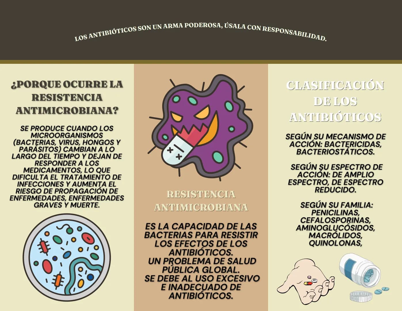 CLASIFICACIÓN
DE LAS
BACTERIAS
CLASIFICACIÓN DE LAS
BACTERIAS:
SEGÚN SU FORMA: COCO,
BACILO, ESPIROQUETA.
SEGÚN SU METABOLISMO:
AEROBIAS, AN