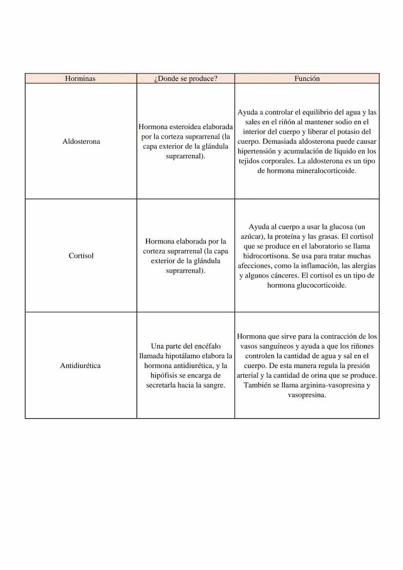 Horminas
¿Donde se produce?
Función
Aldosterona
Hormona esteroidea elaborada
por la corteza suprarrenal (la
capa exterior de la glándula
sup