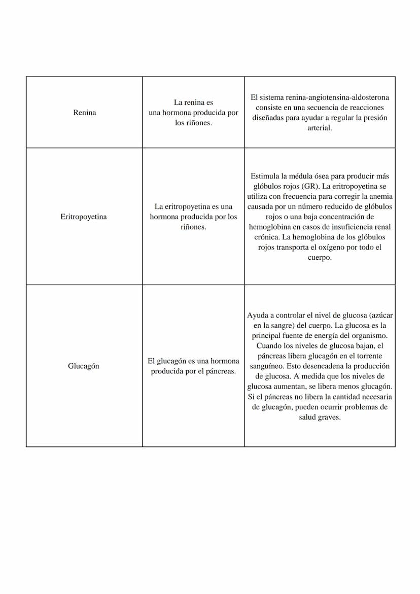 Horminas
¿Donde se produce?
Función
Aldosterona
Hormona esteroidea elaborada
por la corteza suprarrenal (la
capa exterior de la glándula
sup