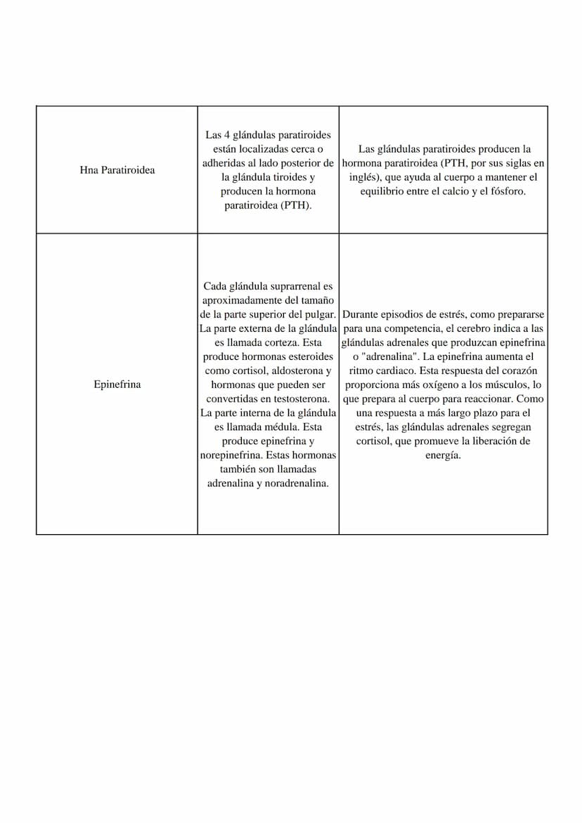 Horminas
¿Donde se produce?
Función
Aldosterona
Hormona esteroidea elaborada
por la corteza suprarrenal (la
capa exterior de la glándula
sup