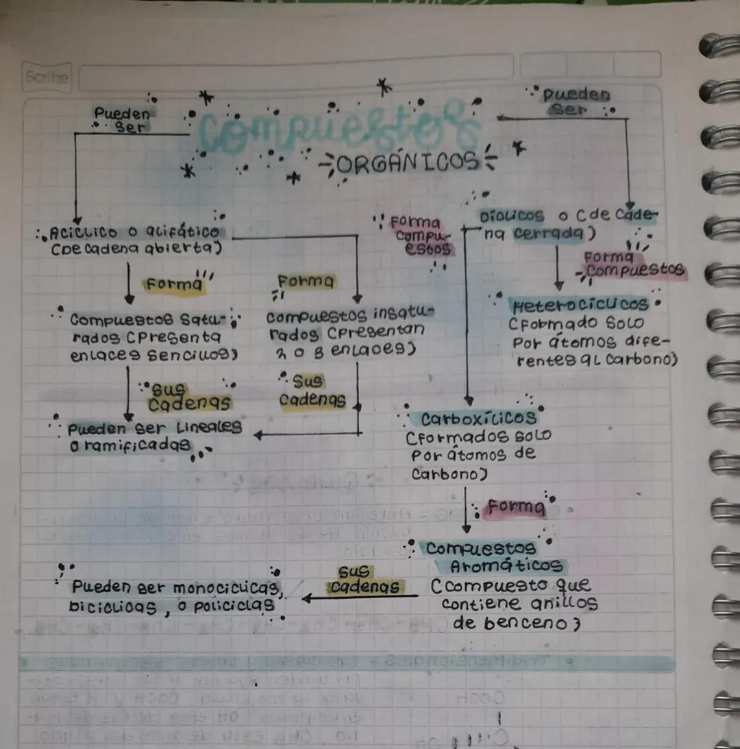 HC
HC
form
Canadi. Quimicas
•Geometricas = Abrevian la escritura e indican la distri-
bución de los átomos en el plano o en el
espacio.
•
pl