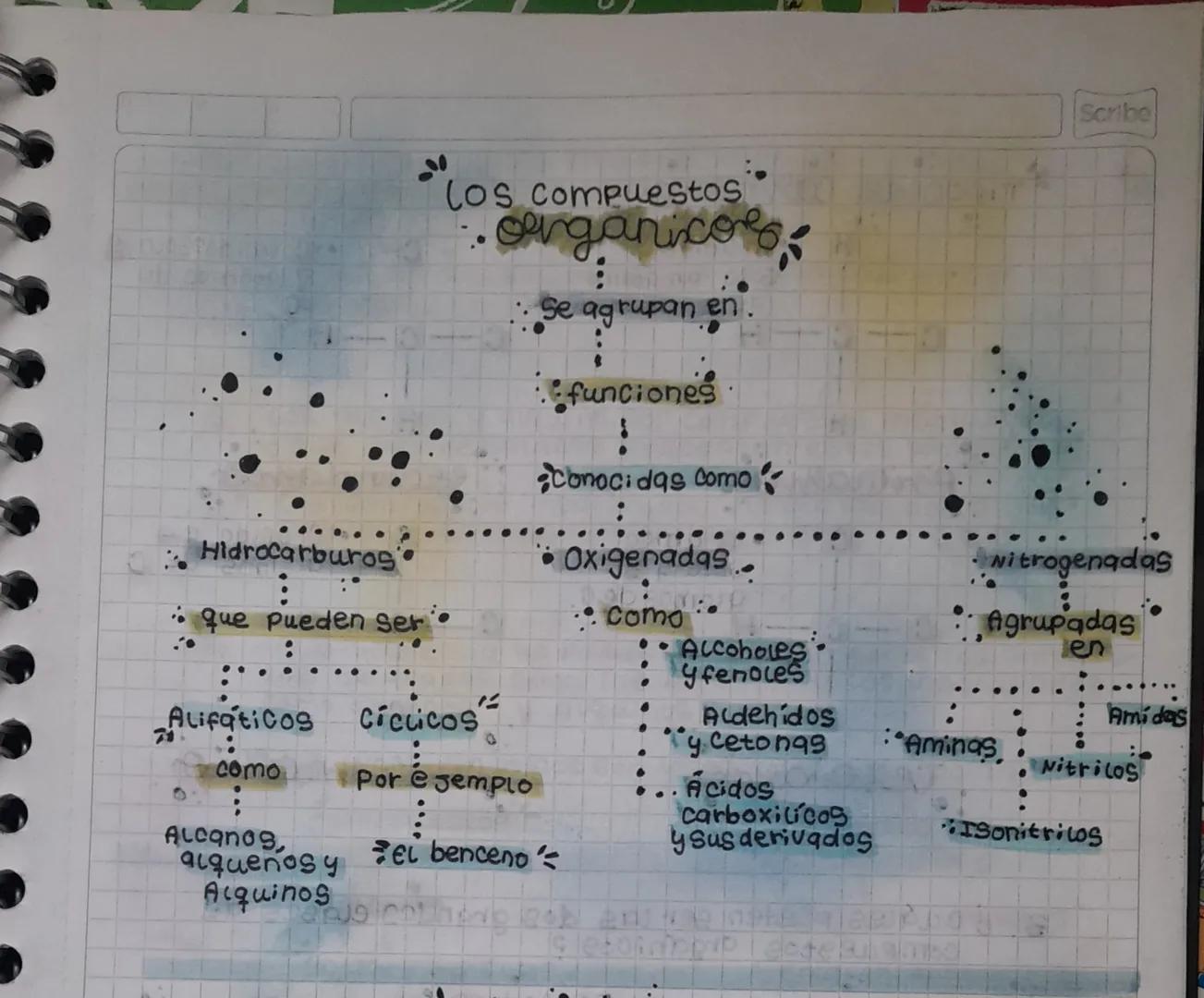 HC
HC
form
Canadi. Quimicas
•Geometricas = Abrevian la escritura e indican la distri-
bución de los átomos en el plano o en el
espacio.
•
pl
