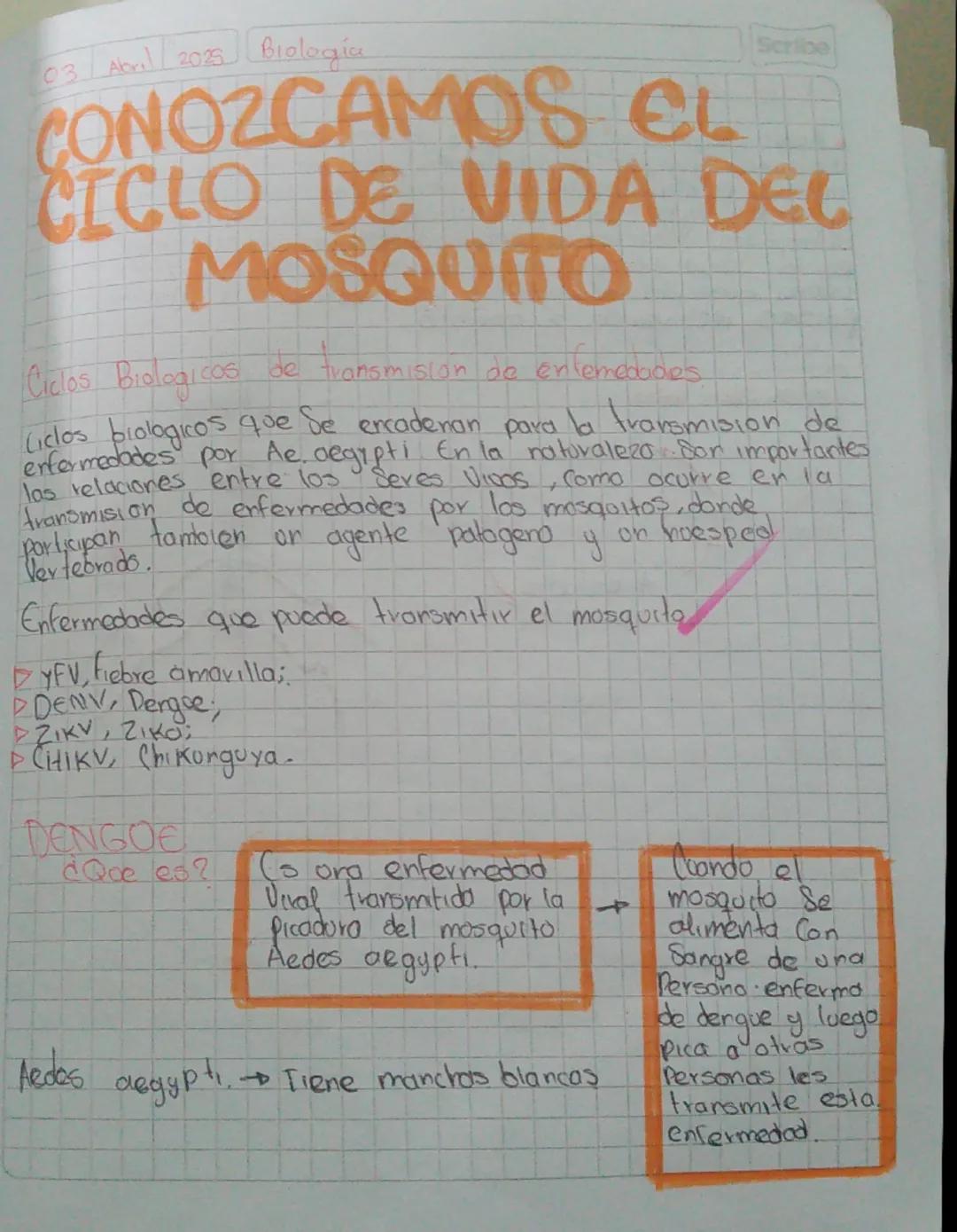 03 Abr. 2025 Biologia

CONOZCAMOS EL
CICLO DE VIDA DEL
MOSQUITO

Ciclos Biologicas de transmision de enfermedades

Ciclos biologicos que se 