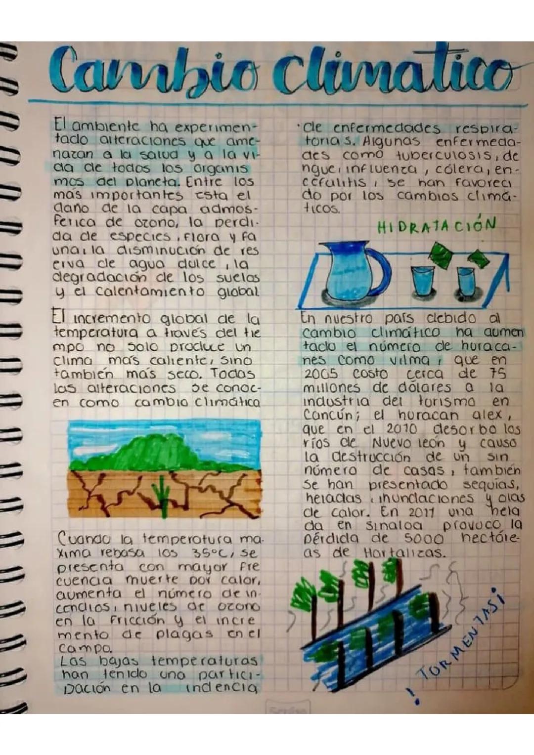 Impacto del Cambio Climático en el Medio Ambiente