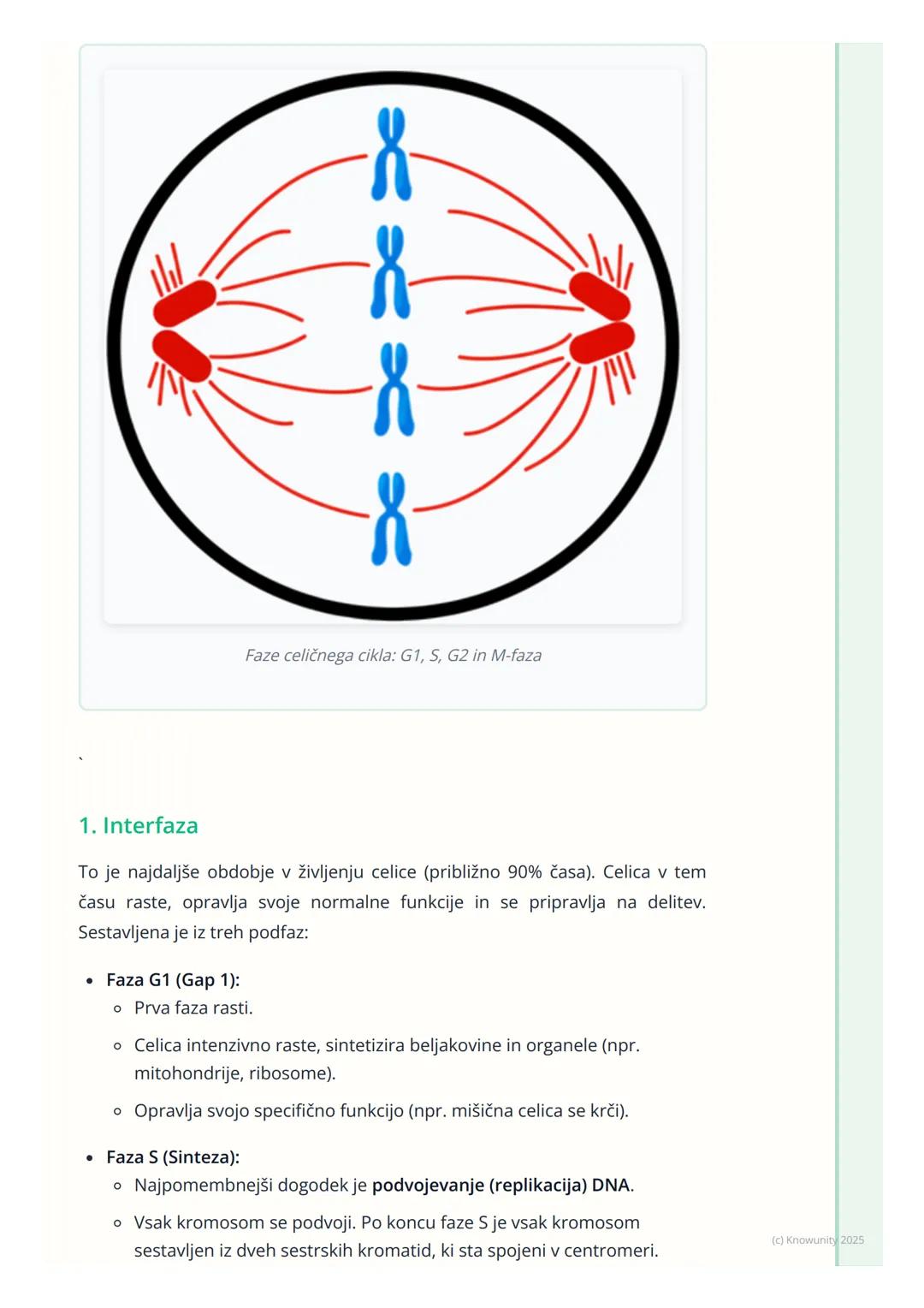 # Celični cikel in delitev celic

## Pregled celičnega cikla

Celični cikel je urejeno zaporedje dogodkov v življenju celice, ki vodi v njen