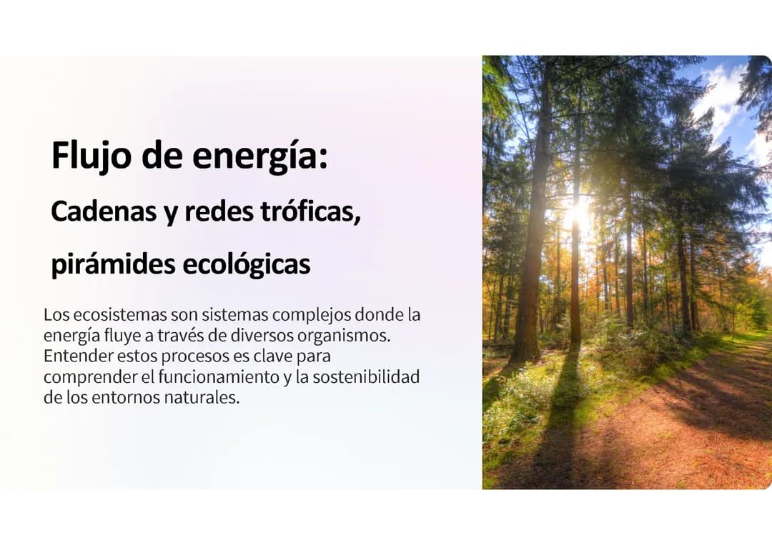 Flujo de energía: 