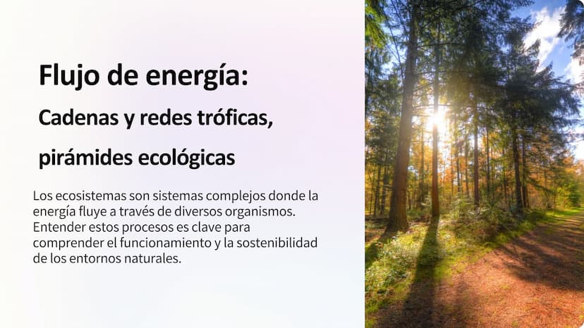 Flujo de energía:
Cadenas y redes tróficas,
pirámides ecológicas
Los ecosistemas son sistemas complejos donde la
energía fluye a través de d