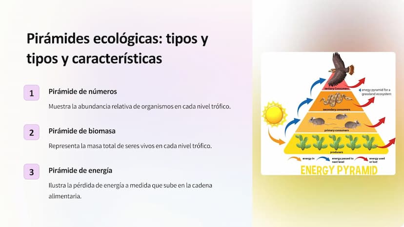 Flujo de energía:
Cadenas y redes tróficas,
pirámides ecológicas
Los ecosistemas son sistemas complejos donde la
energía fluye a través de d