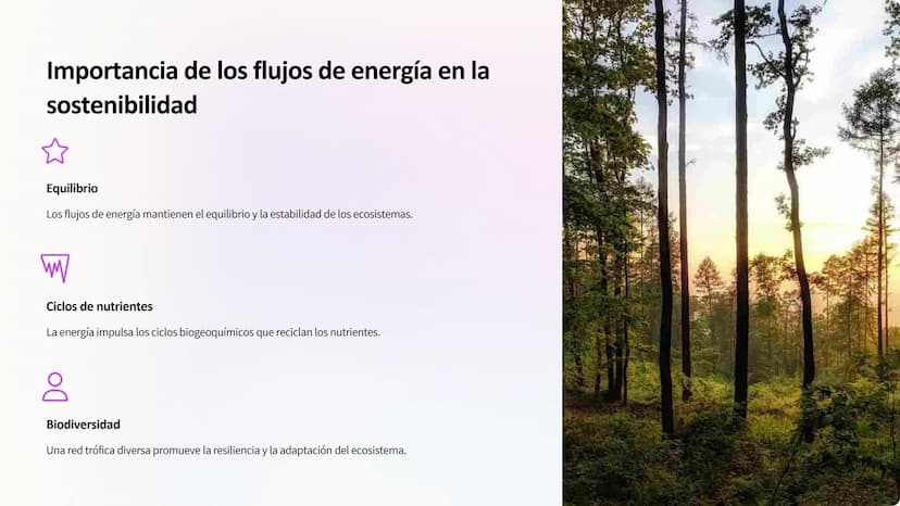 Flujo de energía:
Cadenas y redes tróficas,
pirámides ecológicas
Los ecosistemas son sistemas complejos donde la
energía fluye a través de d