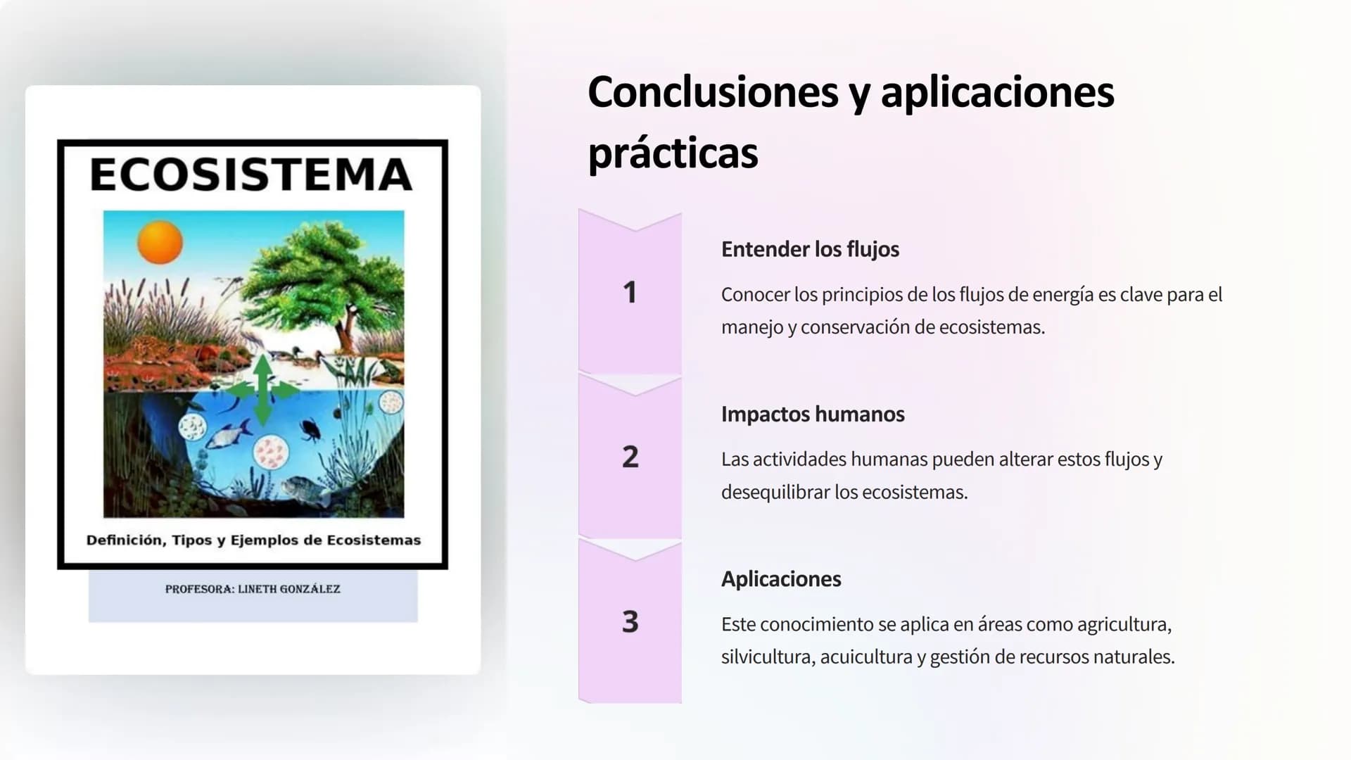 Flujo de energía:
Cadenas y redes tróficas,
pirámides ecológicas
Los ecosistemas son sistemas complejos donde la
energía fluye a través de d