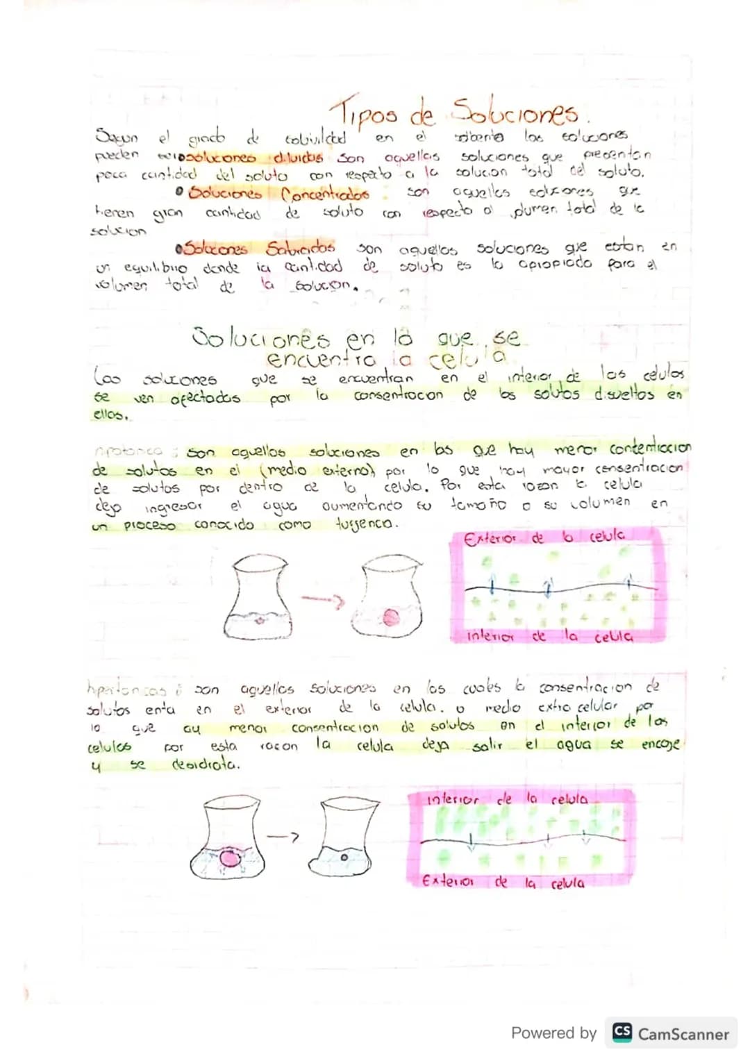 Sagun el gioco d
Tipos de Soluciones.
colivilced
en
e
bobenta
las soluciones
soluciones que
presentan
pueden 6010soluciones diluidos Son aqu