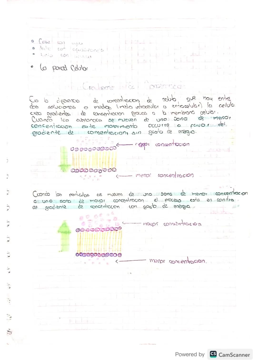 Sagun el gioco d
Tipos de Soluciones.
colivilced
en
e
bobenta
las soluciones
soluciones que
presentan
pueden 6010soluciones diluidos Son aqu
