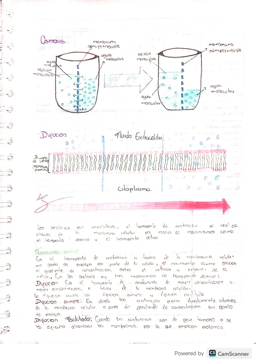 Sagun el gioco d
Tipos de Soluciones.
colivilced
en
e
bobenta
las soluciones
soluciones que
presentan
pueden 6010soluciones diluidos Son aqu