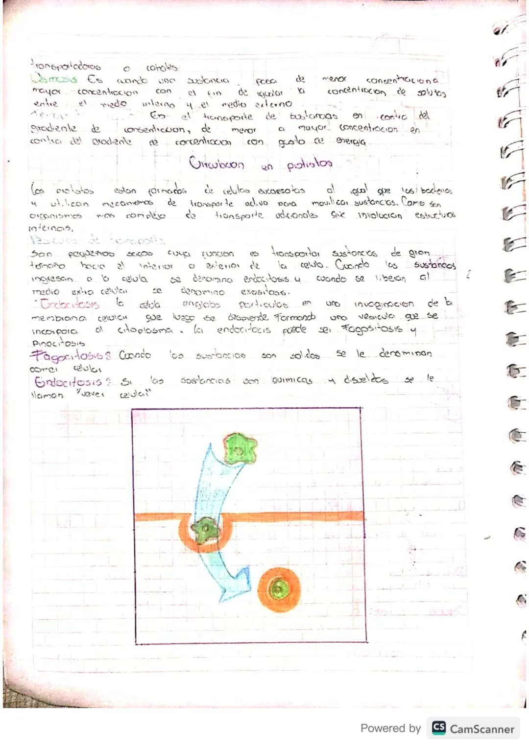 Sagun el gioco d
Tipos de Soluciones.
colivilced
en
e
bobenta
las soluciones
soluciones que
presentan
pueden 6010soluciones diluidos Son aqu