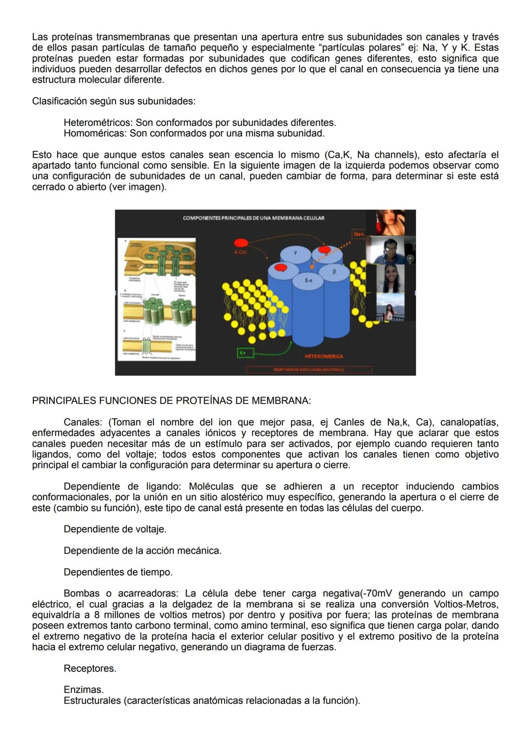 Citoplasma
Hiperpolarización
OmV
80
mv
+40
mv
Liquido fuera de la célula
Potencial de membrana - Potencial de acción
Citoplasma
Potencial de