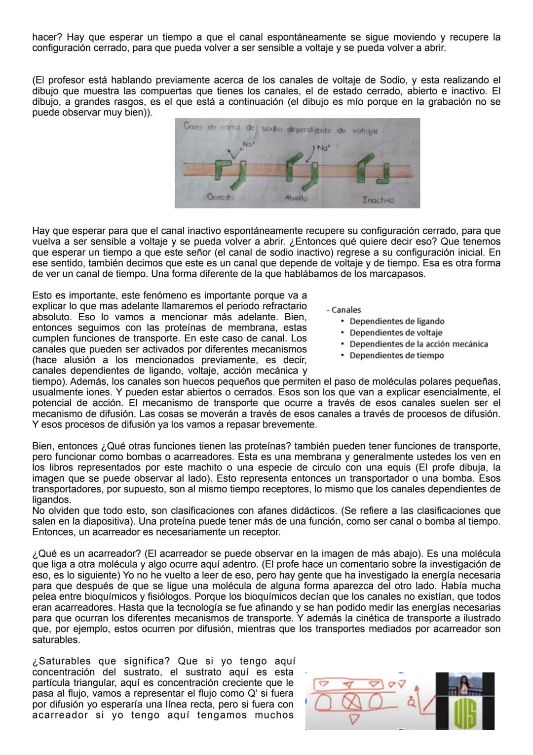 Citoplasma
Hiperpolarización
OmV
80
mv
+40
mv
Liquido fuera de la célula
Potencial de membrana - Potencial de acción
Citoplasma
Potencial de