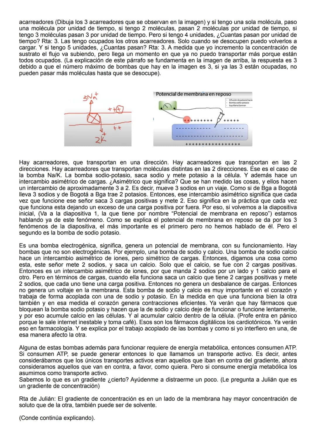 Citoplasma
Hiperpolarización
OmV
80
mv
+40
mv
Liquido fuera de la célula
Potencial de membrana - Potencial de acción
Citoplasma
Potencial de