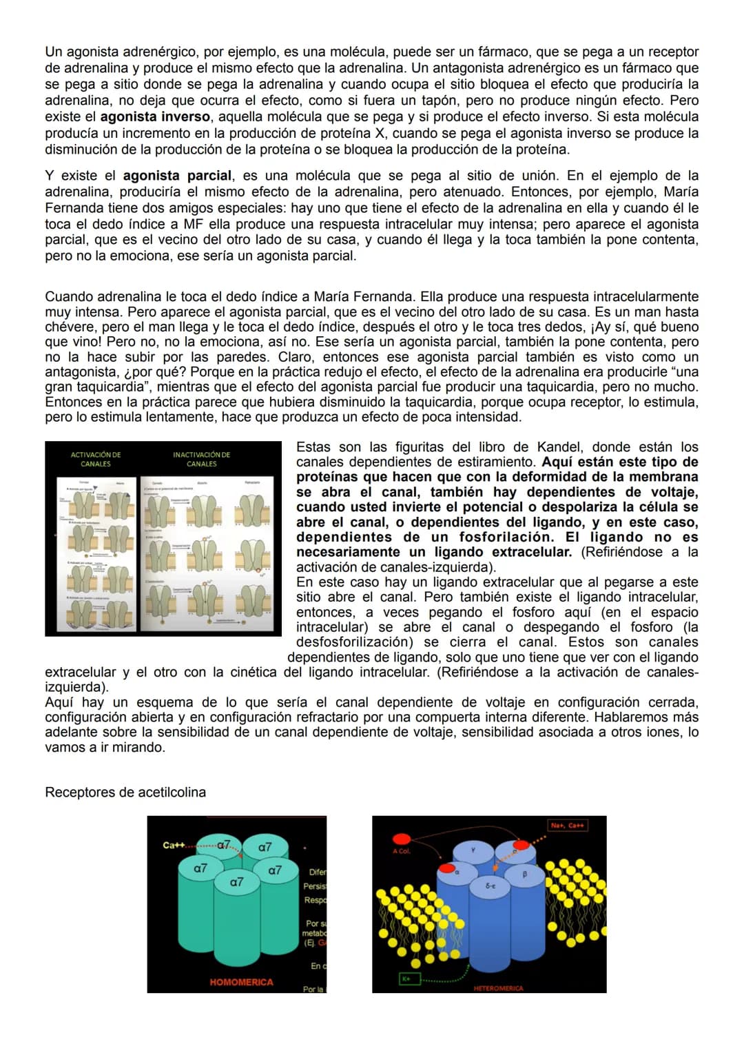 Citoplasma
Hiperpolarización
OmV
80
mv
+40
mv
Liquido fuera de la célula
Potencial de membrana - Potencial de acción
Citoplasma
Potencial de