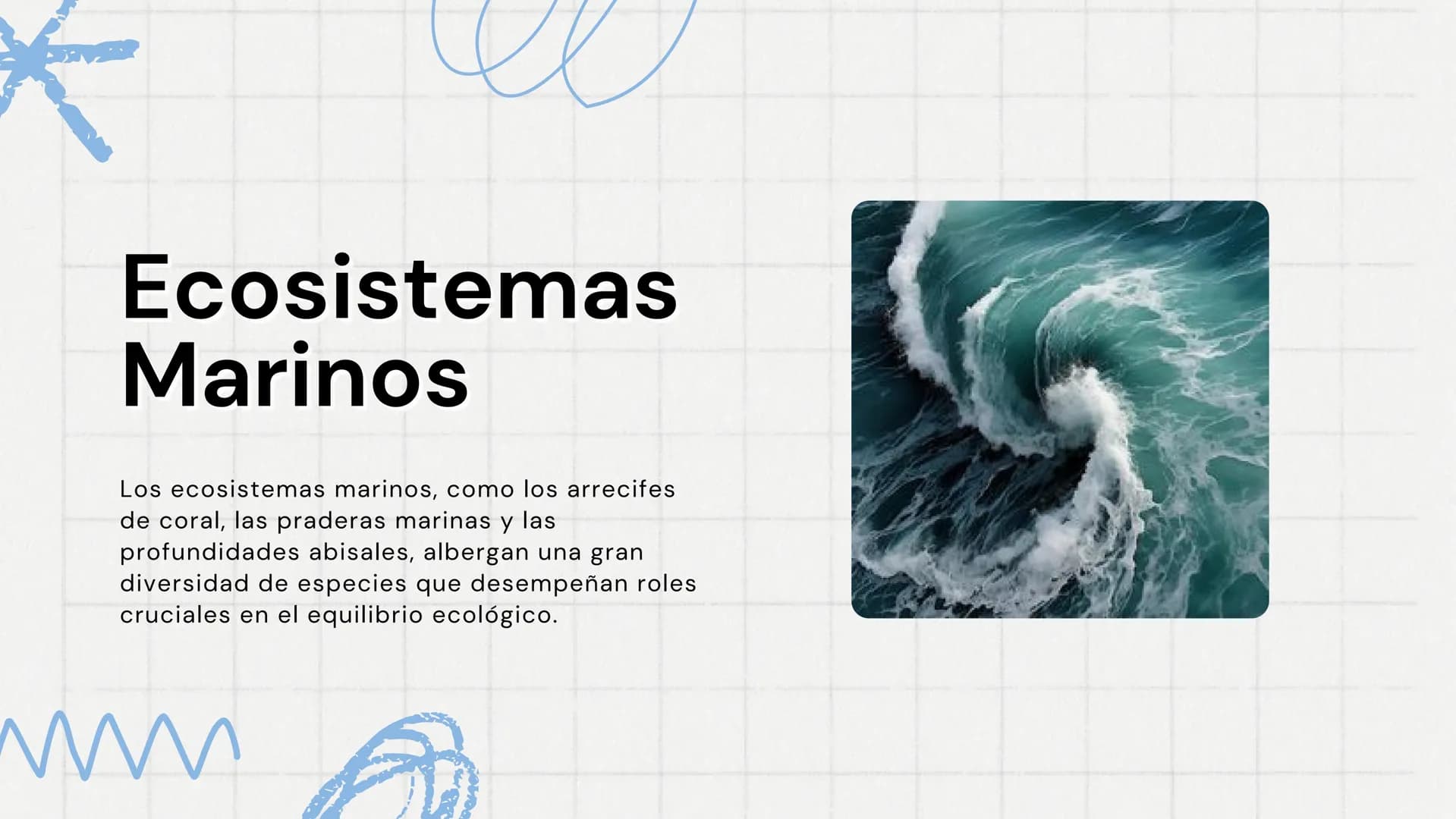 El Mar
Fuente de Vida y Misterio
www
VVV Características
Generales
El mar cubre aproximadamente el 70% de la
superficie terrestre y es funda