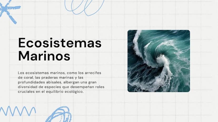 El Mar
Fuente de Vida y Misterio
www
VVV Características
Generales
El mar cubre aproximadamente el 70% de la
superficie terrestre y es funda