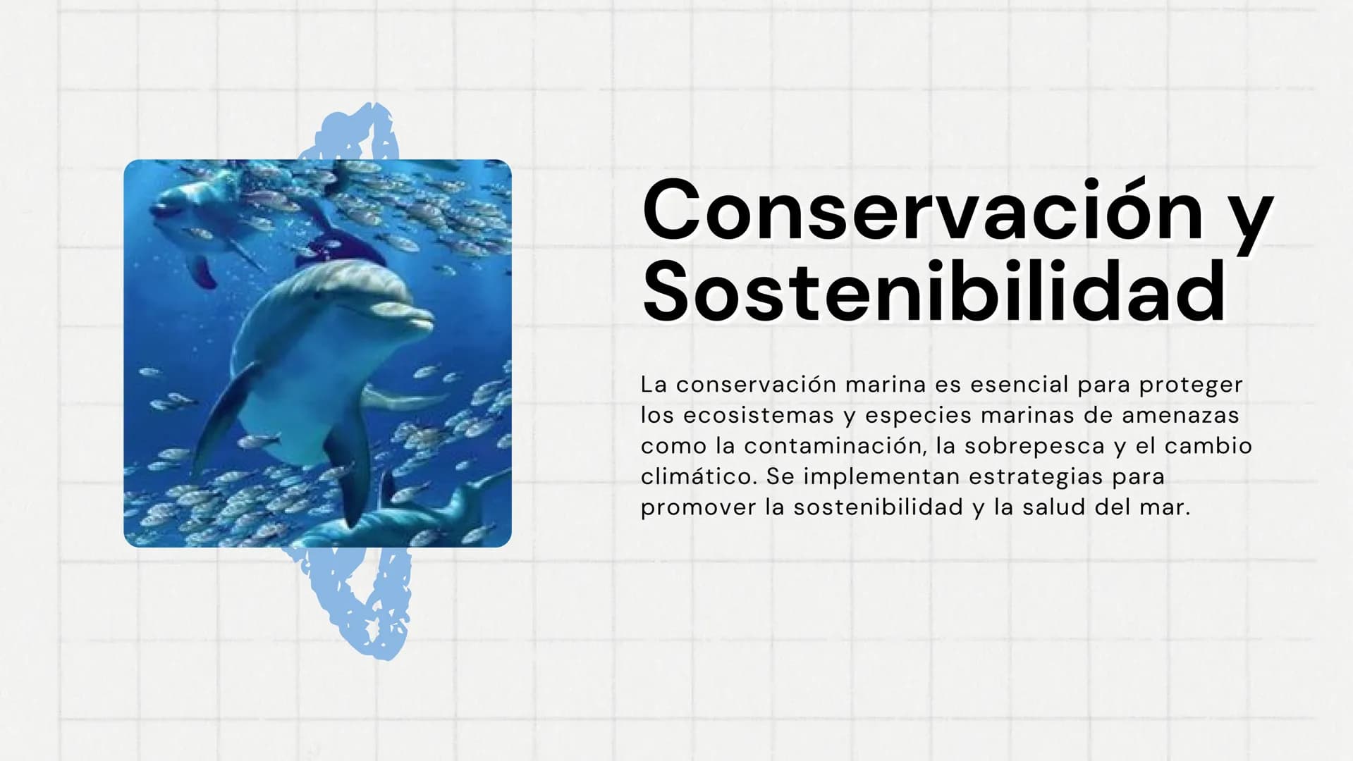 El Mar
Fuente de Vida y Misterio
www
VVV Características
Generales
El mar cubre aproximadamente el 70% de la
superficie terrestre y es funda