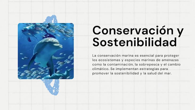 El Mar
Fuente de Vida y Misterio
www
VVV Características
Generales
El mar cubre aproximadamente el 70% de la
superficie terrestre y es funda
