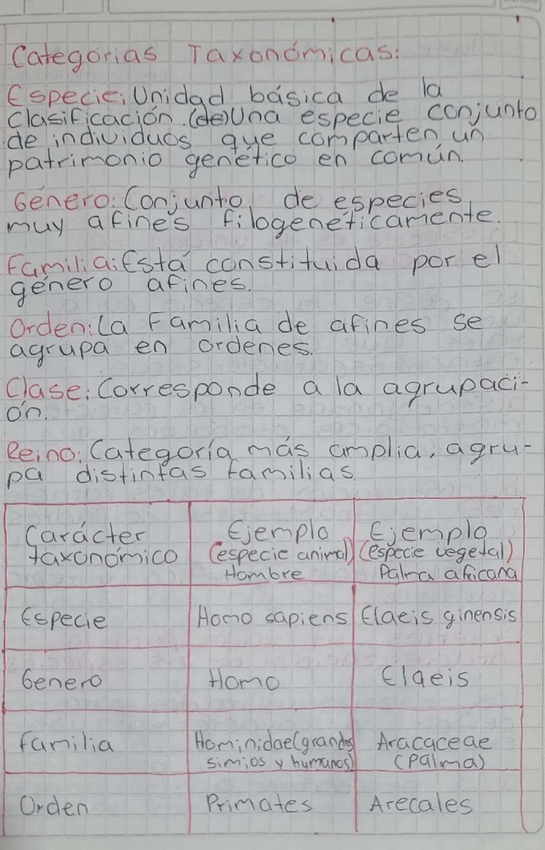 Sistema de clasificación
Nuestro planeta está habitado
por un inmenso número de
'seres vivos, para los cuales,
el ser humano a elaborado
div