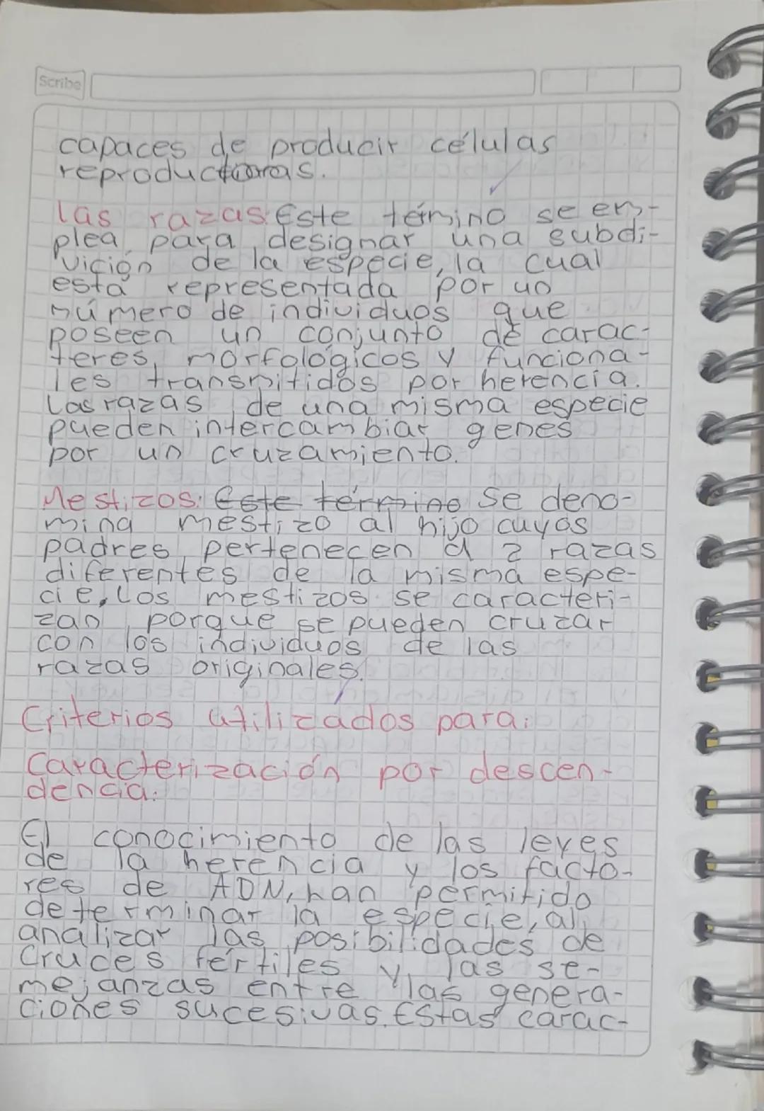 Sistema de clasificación
Nuestro planeta está habitado
por un inmenso número de
'seres vivos, para los cuales,
el ser humano a elaborado
div