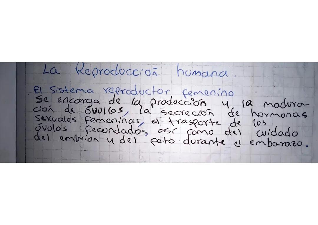 La Reproducción Humana: Proceso y Sistema Reproductor