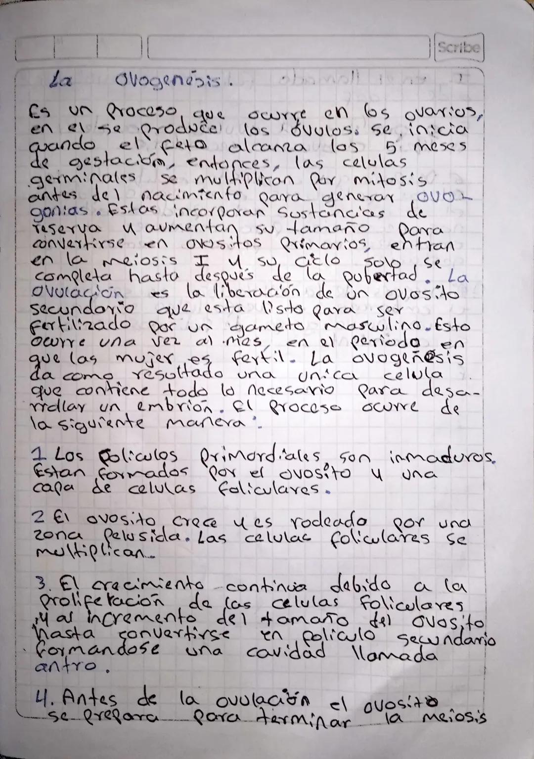 La
Reproduccion humana
4 la madura
de hormonas
El Sistema reproductor, femenino
Se encarga de la producción 4
cion de ovullos, la secreción
