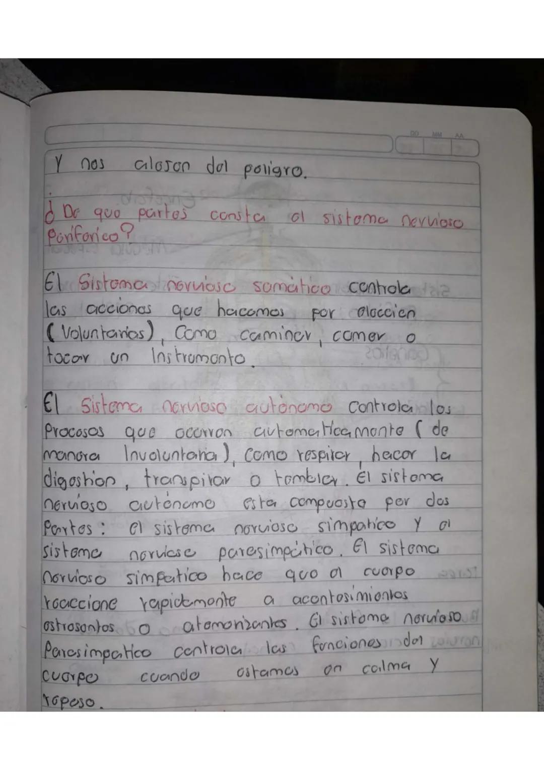 Sistema nervioso periferico.

¿Que es?

El sistema nervioso poriferico en los
Seres humanos es la rod do norvios
que 50 oncuontra fuora do s