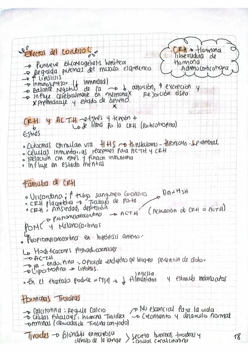 CONTROL ENDOCRINO
DEL META BOLISMO
Metabolismo a largo plazo Corticosteroides Supromenales.
Horminas Toldeas
Glandula Suprarenal
1. Medula G