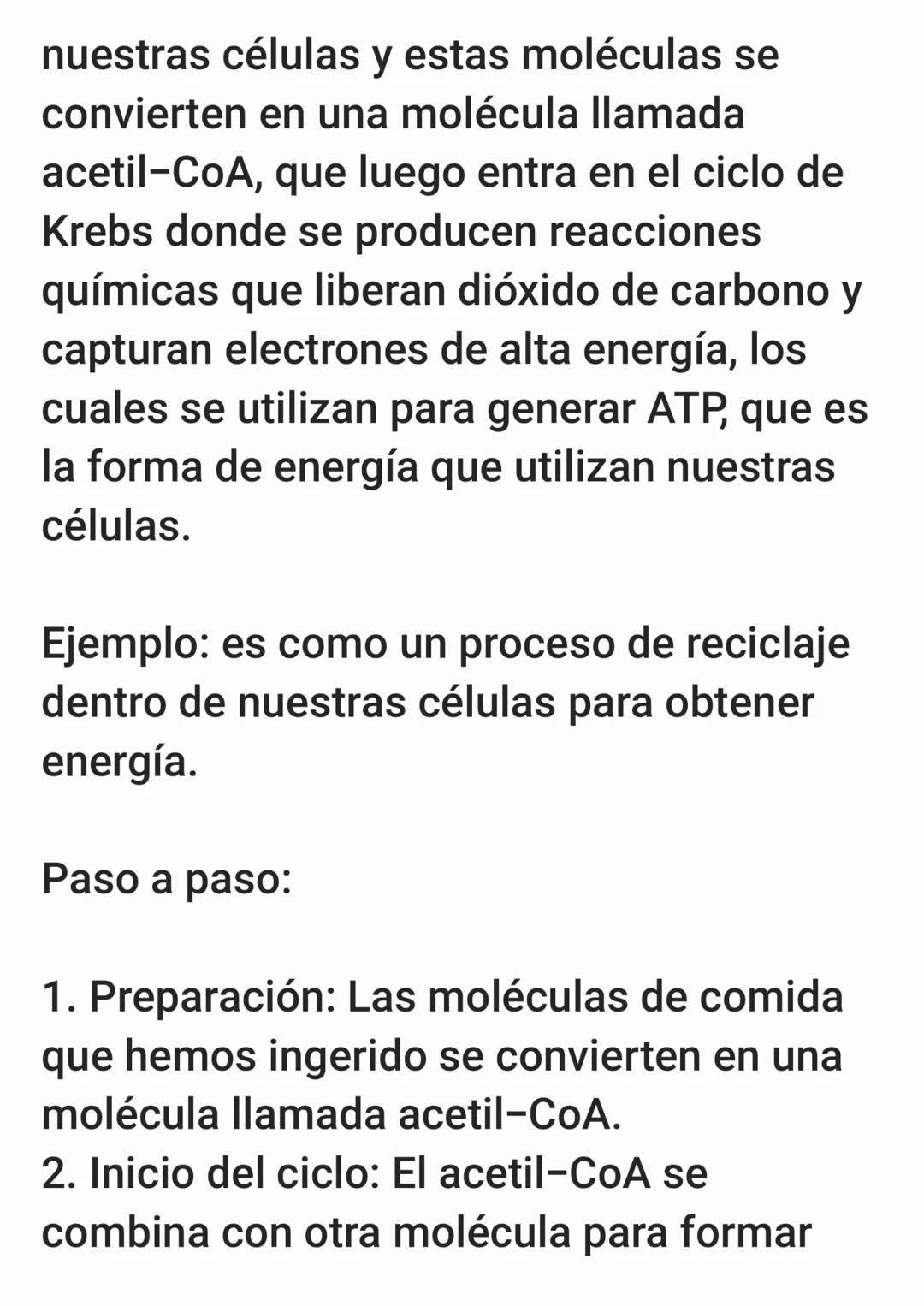 Phuvalo
(COA-SHINAD+
Piruvato deshidrogeraja
CO₂+NADH, H
Acetil
COA
Acetil-CoAT
CASH
~+10-+ {ATP}
Citroto
+
Agua
Aconitaja
Piruvato Carboxil