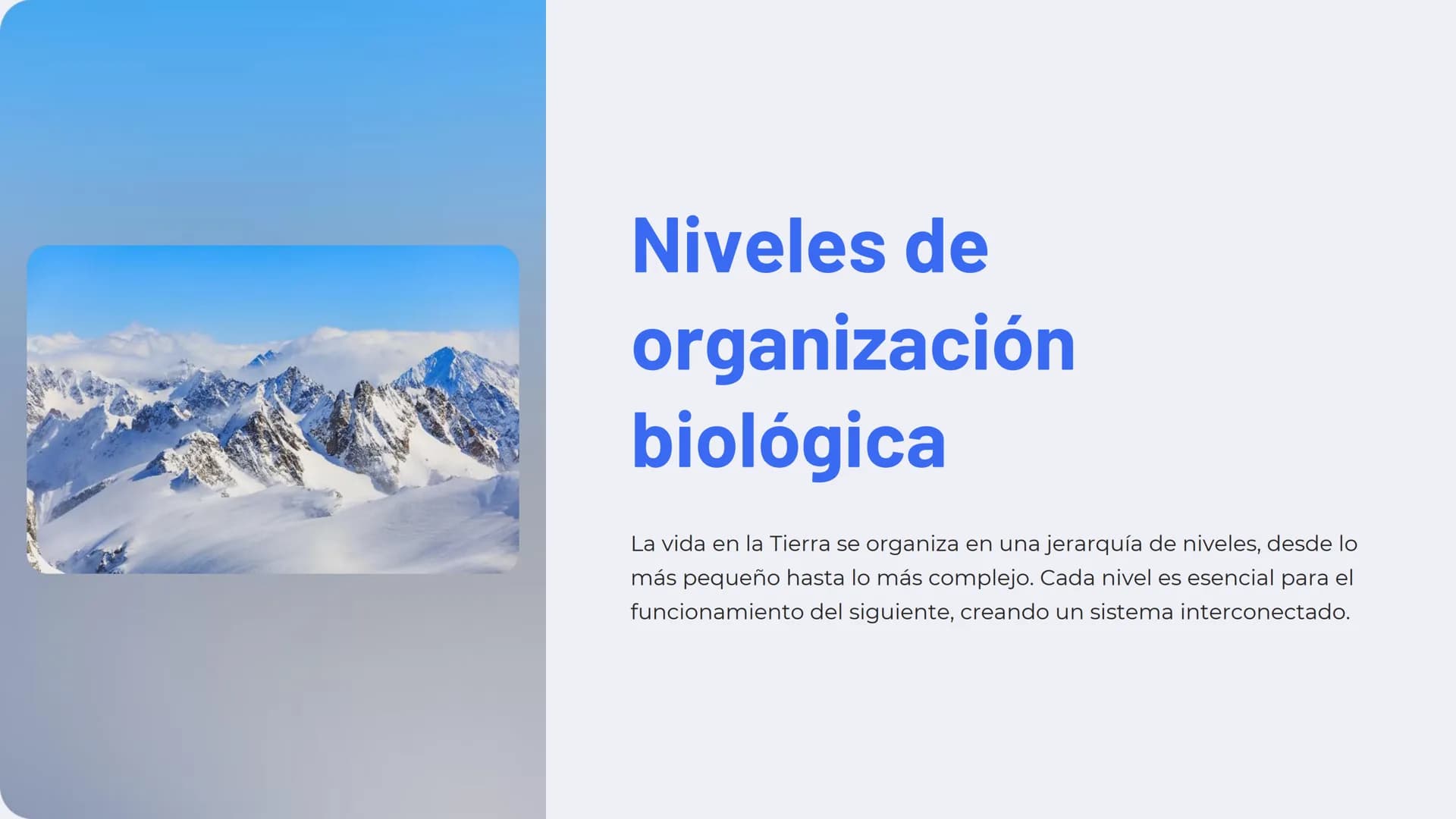 Niveles de
organización
biológica
La vida en la Tierra se organiza en una jerarquía de niveles, desde lo
más pequeño hasta lo más complejo. 