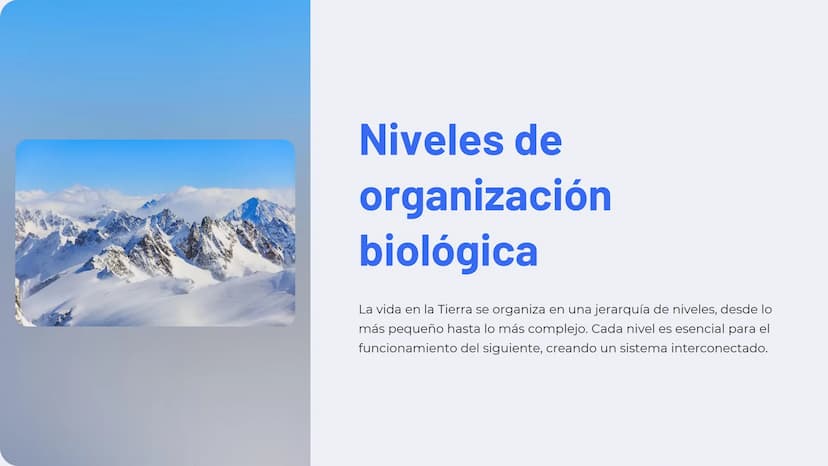 Niveles de
organización
biológica
La vida en la Tierra se organiza en una jerarquía de niveles, desde lo
más pequeño hasta lo más complejo. 