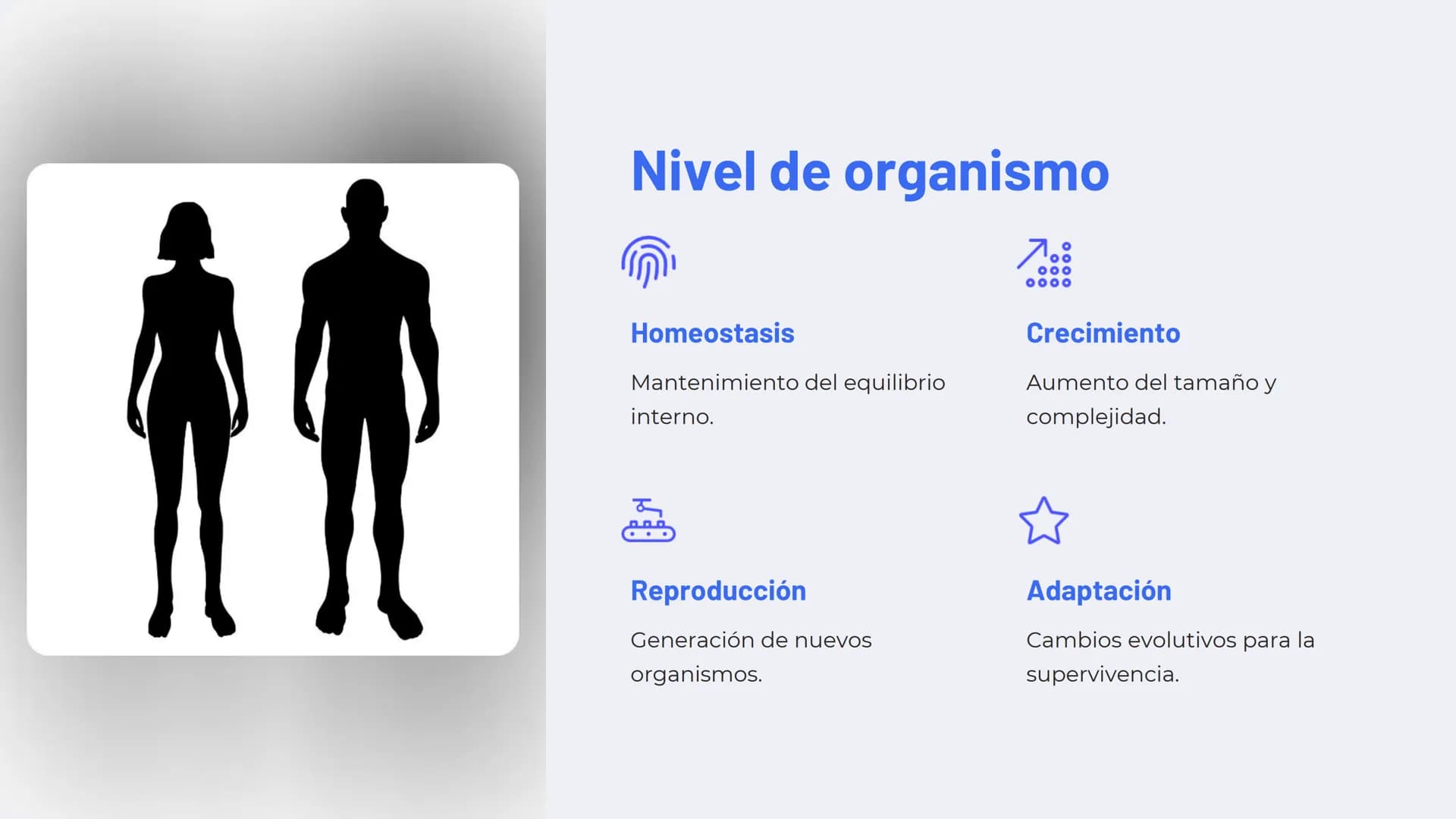 Niveles de
organización
biológica
La vida en la Tierra se organiza en una jerarquía de niveles, desde lo
más pequeño hasta lo más complejo. 
