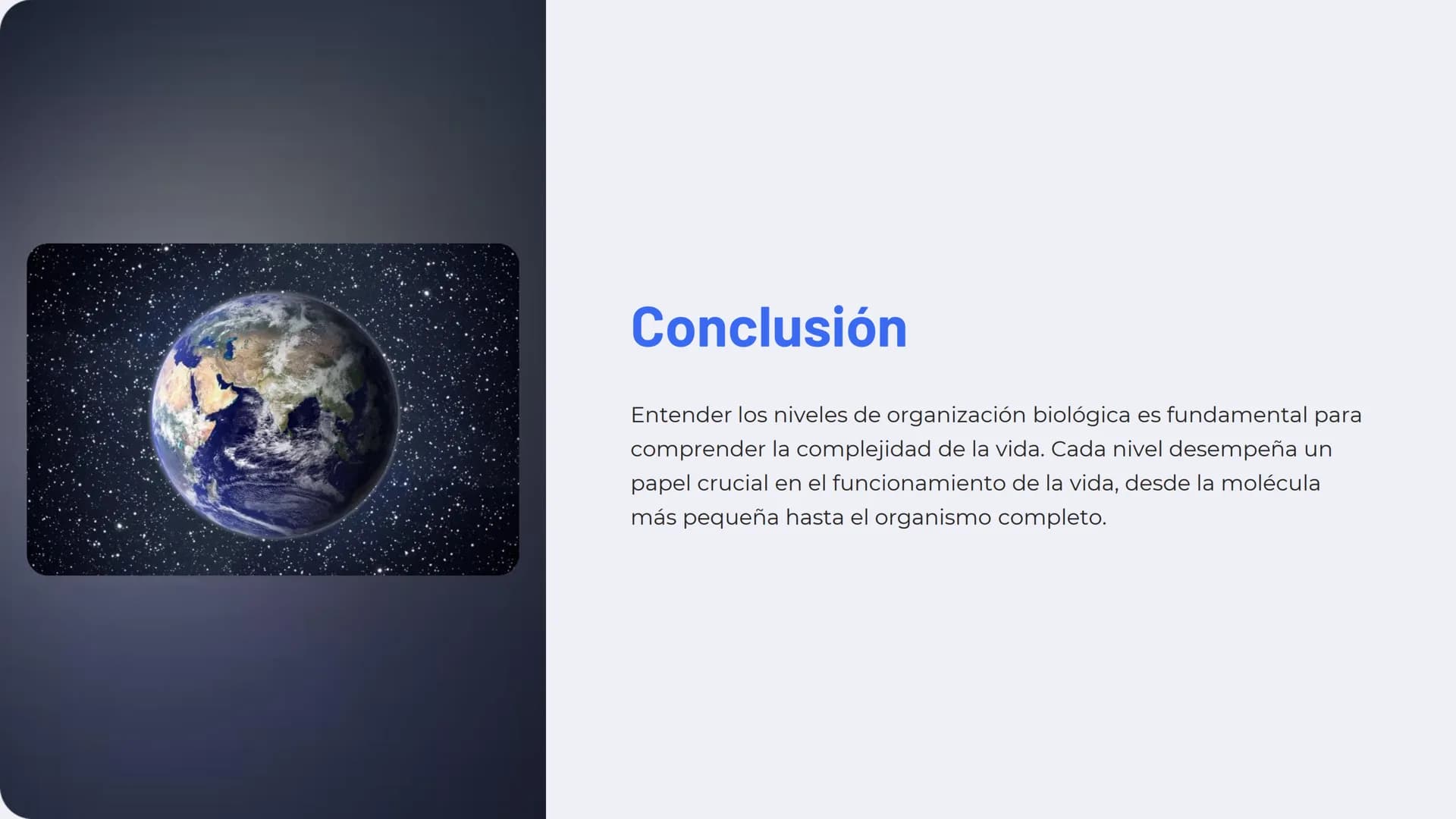 Niveles de
organización
biológica
La vida en la Tierra se organiza en una jerarquía de niveles, desde lo
más pequeño hasta lo más complejo. 