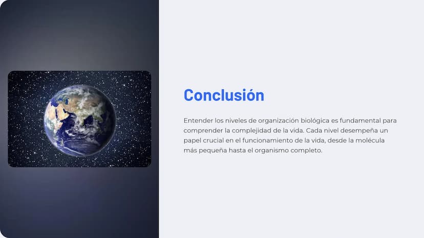 Niveles de
organización
biológica
La vida en la Tierra se organiza en una jerarquía de niveles, desde lo
más pequeño hasta lo más complejo. 