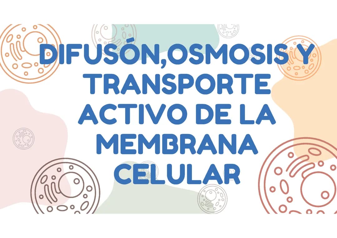 Osmosis, difusion y transporte activo de la membrana celular 
